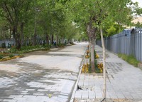 ورود معاونت اجتماعی شهرداری تهران به پروژه پهنه رودکی